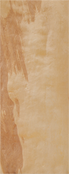 Light wood flush slab door surface with natural grain